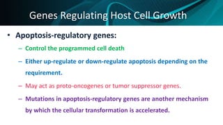 • Apoptosis-regulatory genes:
– Control the programmed cell death
– Either up-regulate or down-regulate apoptosis depending on the
requirement.
– May act as proto-oncogenes or tumor suppressor genes.
– Mutations in apoptosis-regulatory genes are another mechanism
by which the cellular transformation is accelerated.
Genes Regulating Host Cell Growth
 