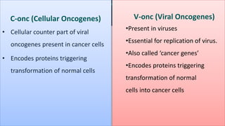 C-onc (Cellular Oncogenes)
• Cellular counter part of viral
oncogenes present in cancer cells
• Encodes proteins triggering
transformation of normal cells
V-onc (Viral Oncogenes)
•Present in viruses
•Essential for replication of virus.
•Also called ‘cancer genes’
•Encodes proteins triggering
transformation of normal
cells into cancer cells
 