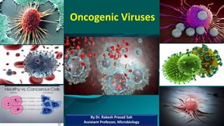 By Dr. Rakesh Prasad Sah
Assistant Professor, Microbiology
Oncogenic Viruses
 