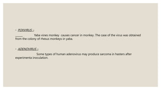 ◦ POXVIRUS –
Yaba vines monkey causes cancer in monkey .The case of the virus was obtained
from the colony of rhesus monkeys in yaba.
◦ ADENOVIRUS –
Some types of human adenovirus may produce sarcoma in hasters after
experimenta inoculation.
 