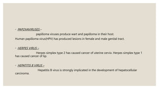 ◦ PAPOVAVIRUSES –
papilloma viruses produce wart and papilloma in their host.
Human papilloma virus(HPV) has produced lesions in female and male genital tract.
◦ HERPES VIRUS –
Herpes simplex type 2 has caused cancer of uterine cervix. Herpes simplex type 1
has caused cancer of lip.
◦ HEPATITIS B VIRUS –
Hepatitis B virus is strongly implicated in the development of hepatocellular
carcinoma.
 