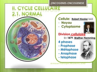 17




        Cellule: Robert Hooke1665
        - Noyau
        - Cytoplasme

        Division cellulaire
              En 1879, Walther Flemming
        4 phases
        - Prophase
        - Métaphase
        - Anaphase
        - telophase
dr innocent Kashongwe DES pneumo, UCAD
 