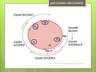 33




dr innocent Kashongwe DES pneumo, UCAD
 