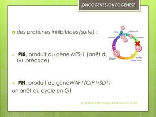 39




 des   protéines inhibitrices (suite) :



   p16, produit du gène MTS-1 (arrêt du cycle en
    G1 précoce)



 p21, produit du gèneWAF1/CIP1/SDT1
un arrêt du cycle en G1

                                dr innocent Kashongwe DES pneumo, UCAD
 