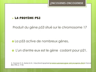 41




   LA PROTÉINE P53

  Produit du gène p53 situé sur le chromosome 17



 La      p53 active de nombreux gènes.

    L'un d'entre eux est le gène codant pour p21.


3. Canman C. E., Kastan M. B. : Inductionof apoptosis by tumor suppressor genes and oncogenes. Semin Cancer
                                                      dr innocent Kashongwe DES pneumo, UCAD
Biol,1995, 6, 17-25.
 