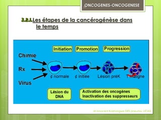 77




3.2.1.Les étapes de la cancérogénèse dans
       le temps




                           dr innocent Kashongwe DES pneumo, UCAD
 