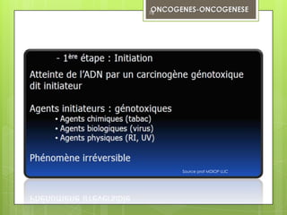 78




     Source prof MDIOP UJC
 