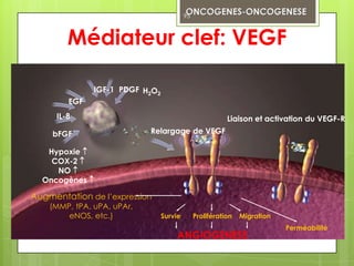95



         Médiateur clef: VEGF

               IGF-1 PDGF H2O2
         EGF
      IL-8                                                 Liaison et activation du VEGF-R
     bFGF                   Relargage de VEGF

   Hypoxie 
    COX-2 
     NO 
  Oncogènes 
                                           P–               –P
Augmentation de l’expression               P–               –P

    (MMP, tPA, uPA, uPAr,
        eNOS, etc.)              Survie         Prolifération    Migration
                                                                             Perméabilité
                                      ANGIOGENESE
 