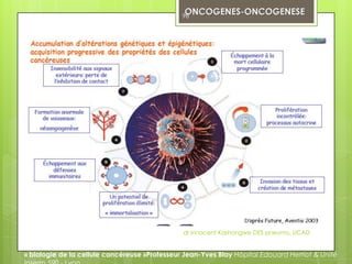98




                                               dr innocent Kashongwe DES pneumo, UCAD


« biologie de la cellule cancéreuse »Professeur Jean-Yves Blay Hôpital Edouard Herriot & Unité
 