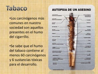 •Los carcinógenos más
comunes en nuestra
sociedad son aquellos
presentes en el humo
del cigarrillo.

•Se sabe que el humo
del tabaco contiene al
menos 60 carcinógenos
y 6 sustancias tóxicas
para el desarrollo.
 