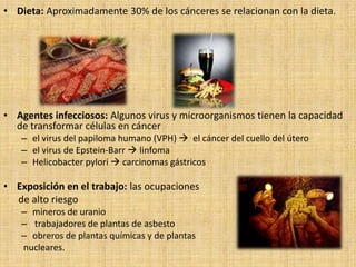 • Dieta: Aproximadamente 30% de los cánceres se relacionan con la dieta.




• Agentes infecciosos: Algunos virus y microorganismos tienen la capacidad
  de transformar células en cáncer
   – el virus del papiloma humano (VPH)  el cáncer del cuello del útero
   – el virus de Epstein-Barr  linfoma
   – Helicobacter pylori  carcinomas gástricos

• Exposición en el trabajo: las ocupaciones
  de alto riesgo
   – mineros de uranio
   – trabajadores de plantas de asbesto
   – obreros de plantas químicas y de plantas
   nucleares.
 