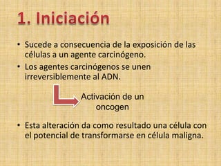• Sucede a consecuencia de la exposición de las
  células a un agente carcinógeno.
• Los agentes carcinógenos se unen
  irreversiblemente al ADN.

                Activación de un
                    oncogen

• Esta alteración da como resultado una célula con
  el potencial de transformarse en célula maligna.
 
