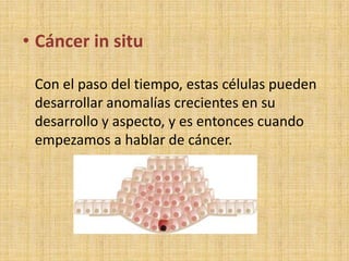 • Cáncer in situ

 Con el paso del tiempo, estas células pueden
 desarrollar anomalías crecientes en su
 desarrollo y aspecto, y es entonces cuando
 empezamos a hablar de cáncer.
 