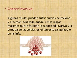 • Cáncer invasivo

 Algunas células pueden sufrir nuevas mutaciones
 y el tumor localizado puede ir más rasgos
 malignos que le facilitan la capacidad invasiva y la
 entrada de las células en el torrente sanguíneo o
 en la linfa.
 