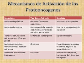 Mecanismo                    Tipo de gen Activado        Resultado
Mutación Reguladora          Genes de factores de        Aumento de la expresión
                             crecimiento
Mutación Estructural         Receptores de factores de   Permite la autonomía de la
                             crecimiento, proteínas de   expresión
                             transducción de señal
Translocación, Inserción     Factores de transcripción   Expresión excesiva
retrovírica, amplificación
génica
Mutación reguladora,         Oncomirs                    Expresión excesiva, reduce
translocaciones, inserción                               el número de genes de
retrovirica                                              supresión tumoral
Delección, mutación con      Oncomirs                    Pérdida de la expresión,
inactivación                                             incremento del número de
                                                         oncogenes.
 