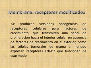 Se producen versiones oncogénicas de
receptores celulares para factores de
crecimiento, que transmiten una señal de
proliferación hacia el interior celular en ausencia
de factores de crecimiento en el exterior, como
las células tumorales de mama a menudo
expresan receptores Erb-B2 que funcionan de
este modo
 