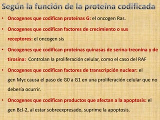 • Oncogenes que codifican proteínas G: el oncogen Ras.

• Oncogenes que codifican factores de crecimiento o sus
  receptores: el oncogen sis

• Oncogenes que codifican proteínas quinasas de serina-treonina y de
  tirosina: Controlan la proliferación celular, como el caso del RAF

• Oncogenes que codifican factores de transcripción nuclear: el
  gen Myc causa el paso de G0 a G1 en una proliferación celular que no
  debería ocurrir.

• Oncogenes que codifican productos que afectan a la apoptosis: el
  gen Bcl-2, al estar sobreexpresado, suprime la apoptosis.
 