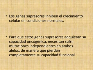 • Los genes supresores inhiben el crecimiento
  celular en condiciones normales.


• Para que estos genes supresores adquieran su
  capacidad oncogénica, necesitan sufrir
  mutaciones independientes en ambos
  alelos, de manera que pierdan
  completamente su capacidad funcional.
 