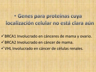 BRCA1 Involucrado en cánceres de mama y ovario.
BRCA2 Involucrado en cáncer de mama.
VHL Involucrado en cáncer de células renales.
 
