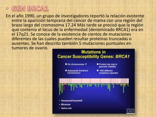 En el año 1990, un grupo de investigadores reportó la relación existente
   entre la aparición temprana del cáncer de mama con una región del
   brazo largo del cromosoma 17.24 Más tarde se precisó que la región
   que contenía el locus de la enfermedad (denominado BRCA1) era en
   el 17q21. Se conoce de la existencia de cientos de mutaciones
   diferentes de las cuales pueden resultar proteínas truncadas o
   ausentes. Se han descrito también 5 mutaciones puntuales en
   tumores de ovario.
 