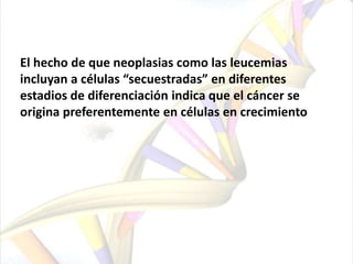 El hecho de que neoplasias como las leucemias incluyan a células “secuestradas” en diferentes estadios de diferenciación indica que el cáncer seorigina preferentemente en células en crecimiento
