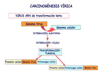 Carcinógenos físicosRayos UV