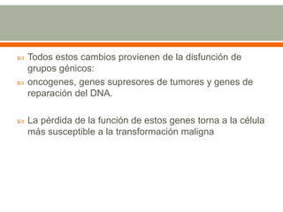  Todos estos cambios provienen de la disfunción de
grupos génicos:
 oncogenes, genes supresores de tumores y genes de
reparación del DNA.
 La pérdida de la función de estos genes torna a la célula
más susceptible a la transformación maligna
 