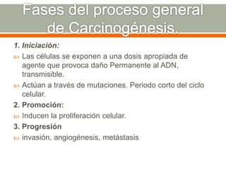 1. Iniciación:
 Las células se exponen a una dosis apropiada de
agente que provoca daño Permanente al ADN,
transmisible.
 Actúan a través de mutaciones. Periodo corto del ciclo
celular.
2. Promoción:
 Inducen la proliferación celular.
3. Progresión
 invasión, angiogénesis, metástasis
 