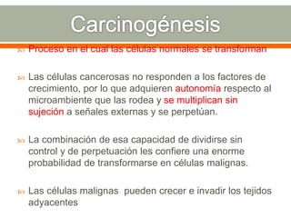  Proceso en el cual las células normales se transforman
 Las células cancerosas no responden a los factores de
crecimiento, por lo que adquieren autonomía respecto al
microambiente que las rodea y se multiplican sin
sujeción a señales externas y se perpetúan.
 La combinación de esa capacidad de dividirse sin
control y de perpetuación les confiere una enorme
probabilidad de transformarse en células malignas.
 Las células malignas pueden crecer e invadir los tejidos
adyacentes
 