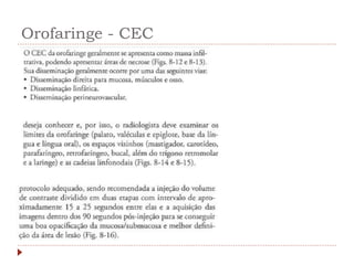 Orofaringe - CEC
 