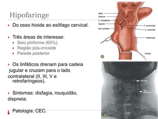 Hipofaringe
 Do osso hioide ao esôfago cervical.
 Três áreas de interesse:
 Seio piriforme (65%).
 Região pós-cricoide
 Parede posterior
 Os linfáticos drenam para cadeia
jugular e cruzam para o lado
contralateral (II, III, V e
retrofaríngeos).
 Sintomas: disfagia, rouquidão,
dispneia.
 Patologia: CEC.
 
