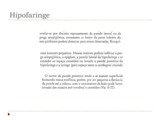 Hipofaringe
 
