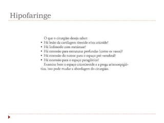 Hipofaringe
 
