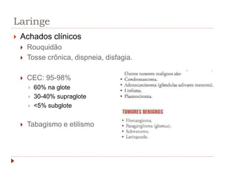 Laringe
 Achados clínicos
 Rouquidão
 Tosse crõnica, dispneia, disfagia.
 CEC: 95-98%
 60% na glote
 30-40% supraglote
 <5% subglote
 Tabagismo e etilismo
 