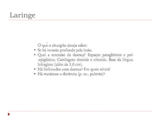 Laringe
 