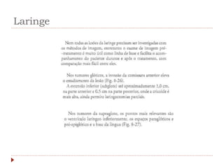 Laringe
 