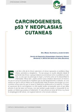 CAPITULO II CARCINOGENESIS, p53 Y NEOPLASIAS CUTANEAS
ONCOLOGIA CUTANEA
i
N el día a día de la clínica veterinaria, el cáncer representa un problema diag-
nóstico, pronóstico y terapéutico. Ya sea porque no resulta relevante desde el
punto de vista clínico, o porque todavía se ve al cáncer como un problema sin solu-
ción, es raro que nos preocupe el origen y la forma como se ha desarrollado la
enfermedad. Ahora bien, podría parecer poco ortodoxo desconocer el mecanis-
mo por el cual se ha producido la neoplasia que se está diagnósticando o tratando, en unos
tiempos en que la ciencia médica se ha popularizado hasta el extremo de divulgar sus cono-
cimientos incluso entre los que no tienen su dedicación profesional en la medicina. Conocer
el mecanismo de la carcinogénesis no sólo puede resultar enriquecedor para el que debe
afrontar el reto de tratar con tumores, sino que también puede ayudar a comprender la res-
puesta y el efecto que produce el tratamiento. En este artículo se revisa de forma muy breve
la etiopatogenia del cáncer, con especial atención a los tumores cutáneos.
DRS. MIQUEL VILAFRANCA y JAUME ALTIMIRA
Servicio de Diagnóstico Histopatológico Veterinario, Histovet
Montserrat, 9. 080192 Sant Quirze del Vallés (Barcelona)
 