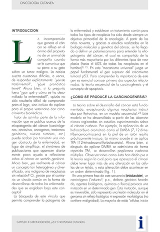 CAPITULO II CARCINOGENESIS, p53 Y NEOPLASIAS CUTANEAS
INTRODUCCION
A incomprensión
que genera el cán-
cer se refleja en el
ánimo del propieta-
rio de un animal de
compañía cuando
se le comunica que
su perro o su gato
sufren un tumor maligno. La noticia
suscita cuestiones difíciles, a veces,
de responder explícitamente: "¿existe
tratamiento?", "¿qué pronóstico
tiene?" Ahora bien, si la pregunta
fuera "¿por qué y cómo se ha desa-
rrollado la enfermedad?", quizás no
sólo resultaría difícil de comprender
para el lego, sino incluso de explicar
para el propio veterinario con cono-
cimientos biomédicos.
Tratar de asimilar parte de la infor-
mación que se publica acerca de la
etiopatogenia del cáncer (carcinóge-
nos, oncovirus, oncogenes, trastornos
genéticos, nuevos tumores, etc.)
puede acabar por transmitir una ima-
gen abstracta de la enfermedad; en
lugar de simplificar, el sinnúmero de
publicaciones que aparecen diaria-
mente poco ayuda a reflexionar
sobre el cáncer en sentido genérico.
Ahora bien, ¿es realmente el cáncer
un concepto tan heterogéneo y diver-
sificado, una malgama de neoplasias
sin relación? O, ¿existe por el contra-
rio un vínculo común en la forma de
desarrollarse de todas las enfermeda-
des que se engloban bajo este con-
cepto?
La búsqueda de este vínculo que
permita comprender la patogenia de
la enfermedad y establecer un tratamiento común para
todos los tipos de neoplasia ha sido desde siempre un
objetivo primordial de la oncología. A partir de los
años noventa, y gracias a estudios realizados en la
biología molecular y genética del cáncer, se ha llega-
do a definir un patomecanismo para entender la etio-
patogenia del cáncer, el cual es compartido de la
forma más mayoritaria por los diferentes tipos de neo-
plasia (hasta el 60% de todas las neoplasias en el
hombre)8,13. En este "mecanismo universal" juega un
papel fundamental el gen supresor del crecimiento
tumoral p53. Para comprender la importancia de este
gen es esencial conocer primero dos aspectos relacio-
nados: la teoría secuencial de la carcinogénesis y el
concepto de apoptosis.
¿COMO SE PRODUCE LA CARCINOGENESIS?
La teoría sobre el desarrollo del cáncer está funda-
mentada, exceptuando algunas neoplasias induci-
das por Retrovirus, en un modelo secuencial.25 Este
modelo se ha desarrollado a partir de las observa-
ciones registradas en estudios experimentales sobre
el cáncer cutáneo. Por ejemplo, la aplicación de un
hidrocarburo aromático como el DMBA (7,12-dime-
tilbencenoantraceno) en la piel de un ratón resulta
prácticamente inocua. Lo mismo sucede si se aplica
TPA (12-tetradecanoilforbolacetato). Ahora bien, si
después de aplicar DMBA se administra de forma
repetida TPA, se desarrollan papilomas cutáneos
múltiples. Observaciones como ésta han dado pie a
la teoría según la cual para que aparezca el cáncer
debe tener lugar más de una alteración en las célu-
las de un tejido, y esta alteración debe acontecer en
un orden determinado (fig. 1).
En una primera fase de esta secuencia (iniciación), un
carcinógeno ("inductor"; p.e., defecto genético hereda-
do, agentes biológicos, químicos o físicos) provoca una
mutación en un determinado gen. Esta mutación, aunque
es irreversible, sólo representa una lesión molecular en el
genoma sin reflejo fisológico ni expresión morfológica (no
confiere malignidad). La mayoría de estás "células inicia-
ONCOLOGIA CUTANEA
i
 