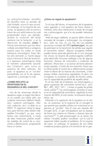 CAPITULO II CARCINOGENESIS, p53 Y NEOPLASIAS CUTANEAS
los polimorfonucleados neutrófilos
(el neutrófilo tiene un período de
vida limitado, ocurra lo que ocurra).
Sin embargo, en la mayoría de oca-
siones, la apoptosis sólo se activa a
través de una señal externa (no está
programada) como, por ejemplo,
durante la involución del tejido
mamario tras la lactación, o en la
destrucción de aquellas células T
tímicas autorreactivas que han desa-
rrollado actividad frente a antígenos
propios para los cuales no existe
tolerancia inmunológica. Estas célu-
las sólo activarán su muerte (apop-
tosis) si termina la fase de lactación,
o si aparecen autoantígenos hasta
el momento celosamente escondi-
dos ("crípticos"), pero nunca en
ausencia de estos estímulos. Así
pues, la apoptosis es un "suicidio"
premeditado con el fin de reparar,
regularizar y prolongar la vida.
¿COMO INFLUYE LA
APOPTOSIS EN EL
DESARROLLO DEL CANCER?
Una de las situaciones donde la
apoptosis juega un papel más decisi-
vo es cuando una célula sufre, por
cualquier mecanismo (defecto heredi-
tario, sustancia carcinógena, infec-
ción, radiación, etc.), un daño en su
ADN3. El organismo utiliza la apop-
tosis para eliminar estas células inde-
seables ("iniciadas"), ya que, como
hemos visto anteriormente, a través
de estas mutaciones podrían evadir
las medidas de control de su creci-
miento y diferenciación, progresando
hacia un cáncer.
¿Cómo se regula la apoptosis?
En el caso del cáncer, el mecanismo de la apoptosis
viene regulado a nivel genético de forma directa o
indirecta, entre otros mecanismos a través de oncoge-
nes y antioncogenes, que a la vez pueden interactuar
entre sí.
Antes de seguir adelante, es preciso definir ahora el
concepto de oncogen y antioncogen. Los oncogenes
(p.e., verb, ras, myc, src, jun, fos, etc.) son aquellas
secuencias normales del ADN (protooncogen), las cua-
les participan en la transmisión de señales que regulan
el crecimiento celular1. Algunos oncogenes también
pueden formar parte del genoma de un virus (oncoge-
nes víricos). La mayoría de protooncogenes codifican
para desarrollar funciones análogas a las de algunas
hormonas, factores de crecimiento o moléculas de
adhesión. Ahora bien, si se activan de forma aberran-
te (por ejemplo, a través de una mutación), hacen que
la célula pierda el control de su diferenciación porque
imitan el efecto de los factores de crecimiento, o bien
porque inhiben mecanismos reguladores. Es decir, los
oncogenes no aumentan el grado de división celular,
sino la capacidad de proliferar de aquella célula.
En el otro lado de la balanza, los antioncogenes o
genes supresores del crecimiento tumoral (p.e., p53,
RB-1, APC, DCC, NF-1...) limitan el grado de prolife-
ración celular18. Los antioncogenes controlan el exce-
so en la capacidad de crecimiento, regulando la trans-
cripción del ADN, el ciclo celular, la activación de pro-
teínas, etc.
Volviendo a la regulación de la apoptosis en el cán-
cer, en ocasiones, es la ausencia de un oncogen lo
que permite que aquellas células con mutaciones en su
genoma se "suiciden". Este el caso por ejemplo del
oncogen bcl-2, un gen anti-apoptosis que se expresa
de forma muy intensa en linfomas y diversos tipos de
carcinoma32. Si este protooncogen no se activa, las
células "iniciadas" podrán "suicidarse", con lo cual el
organismo habrá resuelto el problema. En la mayoría
de casos, sin embargo, la apoptosis de una célula
mutada se produce gracias a la activación de un gen,
ONCOLOGIA CUTANEA
i
 