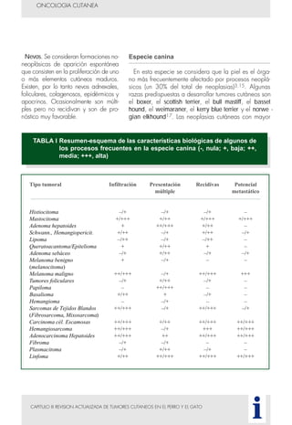 CAPITULO III REVISION ACTUALIZADA DE TUMORES CUTANEOS EN EL PERRO Y EL GATO
Nevos. Se consideran formaciones no-
neoplásicas de aparición espontánea
que consisten en la proliferación de uno
o más elementos cutáneos maduros.
Existen, por lo tanto nevos adnexales,
foliculares, colagenosos, epidérmicos y
apocrinos. Ocasionalmente son múlti-
ples pero no recidivan y son de pro-
nóstico muy favorable.
Especie canina
En esta especie se considera que la piel es el órga-
no más frecuentemente afectado por procesos neoplá-
sicos (un 30% del total de neoplasias)3,15. Algunas
razas predispuestas a desarrollar tumores cutáneos son
el boxer, el scottish terrier, el bull mastiff, el basset
hound, el weimaraner, el kerry blue terrier y el norwe -
gian elkhound17. Las neoplasias cutáneas con mayor
ONCOLOGIA CUTANEA
i
TABLA I Resumen-esquema de las características biológicas de algunos de
los procesos frecuentes en la especie canina (-, nula; +, baja; ++,
media; +++, alta)
Tipo tumoral Infiltración Presentación Recidivas Potencial
múltiple metastático
Histiocitoma –/+ –/+ –/+ –
Mastocitoma +/+++ +/++ +/+++ +/+++
Adenoma hepatoides + ++/+++ +/++ –
Schwann., Hemangiopericit. +/++ –/+ +/++ –/+
Lipoma –/++ –/+ –/++ –
Queratoacantoma/Epitelioma + +/++ + –
Adenoma sebáceo –/+ +/++ –/+ –/+
Melanoma benigno + –/+ – –
(melanocitoma)
Melanoma maligno ++/+++ –/+ ++/+++ +++
Tumores foliculares –/+ +/++ –/+ –
Papiloma – ++/+++ – –
Basalioma +/++ + –/+ –
Hemangioma – –/+ – –
Sarcomas de Tejidos Blandos ++/+++ –/+ ++/+++ –/+
(Fibrosarcoma, Mixosarcoma)
Carcinoma cél. Escamosas ++/+++ +/++ ++/+++ ++/+++
Hemangiosarcoma ++/+++ –/+ +++ ++/+++
Adenocarcinoma Hepatoides ++/+++ ++ ++/+++ ++/+++
Fibroma –/+ –/+ – –
Plasmacitoma –/+ +/++ –/+ –
Linfoma +/++ ++/+++ ++/+++ ++/+++
 