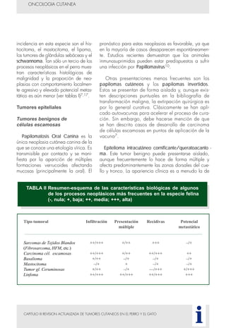 CAPITULO III REVISION ACTUALIZADA DE TUMORES CUTANEOS EN EL PERRO Y EL GATO
incidencia en esta especie son el his-
tiocitoma, el mastocitoma, el lipoma,
los tumores de glándulas sebáceas y el
schwannoma. Tan sólo un tercio de los
procesos neoplásicos en el perro mues-
tran características histológicas de
malignidad y la proporción de neo-
plasias con comportamiento localmen-
te agresivo y elevado potencial metas-
tático es aún menor (ver tablas I)7,17.
Tumores epiteliales
Tumores benignos de
células escamosas
Papilomatosis Oral Canina es la
única neoplasia cutánea canina de la
que se conoce una etiología vírica. Es
transmisible por contacto y se mani-
fiesta por la aparición de múltiples
formaciones verrucoides afectando
mucosas (principalmente la oral). El
pronóstico para estas neoplasias es favorable, ya que
en la mayoría de casos desaparecen espontáneamen-
te. Estudios recientes demuestran que los animales
inmunosuprimidos pueden estar predispuestos a sufrir
una infección por Papillomavirus10.
Otras presentaciones menos frecuentes son los
papilomas cutáneos y los papilomas invertidos.
Estos se presentan de forma aislada y, aunque exis-
ten descripciones puntuales en la bibliografía de
transformación maligna, la extirpación quirúrgica es
por lo general curativa. Clásicamente se han apli-
cado autovacunas para acelerar el proceso de cura-
ción. Sin embargo, debe hacerse mención de que
se han descrito casos de desarrollo de carcinoma
de células escamosas en puntos de aplicación de la
vacuna7.
Epitelioma intracutáneo cornificante/queratoacanto -
ma. Este tumor benigno puede presentarse aislado,
aunque frecuentemente lo hace de forma múltiple y
afecta predominantemente las zonas dorsales del cue-
llo y tronco. La apariencia clínica es a menudo la de
ONCOLOGIA CUTANEA
i
TABLA II Resumen-esquema de las características biológicas de algunos
de los procesos neoplásicos más frecuentes en la especie felina
(-, nula; +, baja; ++, media; +++, alta)
Tipo tumoral Infiltración Presentación Recidivas Potencial
múltiple metastático
Sarcomas de Tejidos Blandos ++/+++ +/++ +++ –/+
(Fibrosarcoma, HFM, etc.)
Carcinoma cél. escamosas ++/+++ +/++ ++/+++ ++
Basalioma +/++ –/+ –/+ –/+
Mastocitoma –/+ + –/+ –/+
Tumor gl. Ceruminosas +/++ –/+ ––/+++ +/+++
Linfoma ++/+++ ++/+++ ++/+++ +++
 