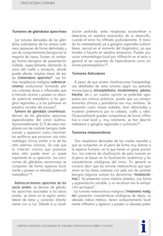 CAPITULO III REVISION ACTUALIZADA DE TUMORES CUTANEOS EN EL PERRO Y EL GATO
Tumores de glándulas apocrinas
Los tumores derivados de las glán-
dulas sudoríparas de los anejos cutá-
neos aparecen de forma delimitada y
son de comportamiento benigno en la
mayoría de casos. Existen sin embar-
go formas benignas de presentación
múltiple, especialmente afectando la
zona del cuello y escápula, donde
puede afectar amplias áreas de teji-
do (cistomatosis apocrina)8. Las for-
mas neoplásicas malignas (adenocar -
cinoma) evolucionan formando pla-
cas cutáneas duras e inflamadas que
a menudo ulceran y poseen un eleva-
do potencial metastático a los gan-
glios regionales y a los pulmones en
estadios iniciales del proceso7.
Tumores de glándulas ceruminosas:
derivan de las glándulas apocrinas
especializadas del canal auditivo.
Aproximadamente 2/3 de estas neo-
plasias son de carácter benigno (ade-
nomas) y aparecen como crecimien-
tos exofíticos que provocan una sinto-
matología clínica similar a la de las
otitis externas crónicas. Se cree que
la irritación crónica que provocan
estas otitis puede tener un papel
importante en su aparición. Los carci-
nomas de glándulas ceruminosas se
comportan de forma agresiva local-
mente y poseen un elevado potencial
metastático7,8.
Adenocarcinomas apocrinos de los
sacos anales: se derivan de glándu-
las apocrinas asociadas a los sacos
anales, se sitúan en la región ventro-
lateral de éstos y conectan directa-
mente con su luz. Debido a su locali-
zación profunda, estas neoplasias acostumbran a
detectarse en estadios avanzados de su desarrollo,
cuando el tumor ha infiltrado profundamente. A menu-
do ha metastatizado ya a ganglios regionales (sublum-
bares, sacros) en el momento del diagnóstico, ya que
tienden a hacerlo en estadios tempranos. Pueden pro-
vocar sintomatología local por infiltración en el recto o
general al ser causantes de hipercalcemia como sín-
drome paraneoplásico22.
Tumores foliculares
A pesar de que existen clasificaciones histopatológi-
cas detalladas de estos tumores según sus patrones
microscópicos (tricoepitelioma, tricolemmoma, piloma -
trixoma, etc.), en nuestra opinión es preferible agru-
parlos por motivos prácticos, puesto que sus compor-
tamientos clínicos y pronósticos son muy similares. Se
presentan como masas aisladas, bien delimitadas y
muestran preferencia por la cabeza, cuello y rabo.
Ocasionalmente pueden comportarse de forma infiltra-
tiva a nivel local y, muy raramente, se han descrito
metástasis a ganglios regionales o pulmones22.
Tumores melanocíticos
Son neoplasias derivadas de las crestas neurales y
que se comportan en el perro de forma muy distinta a
la especie humana, en la que tienen un grave pronós-
tico. Los criterios de clasificación de estos tumores en
el perro se basan en la localización anatómica y las
características citológicas del tumor. En general es
correcto decir que los tumores melanocíticos que apa-
recen en las áreas cutáneas con pelo son de carácter
benigno (algunos autores los denominan "melanocito -
mas"). Se presentan como nódulos aislados, con forma
y pigmentación variable, y no recidivan tras la extirpa-
ción quirúrgica7.
Los tumores melanocíticos malignos ("melanoma malig -
no") presentan características citológicas de atipia, un
elevado índice mitótico, tienen comportamiento local-
mente infiltrativo y agresivo y poseen un elevado poten-
ONCOLOGIA CUTANEA
i
 