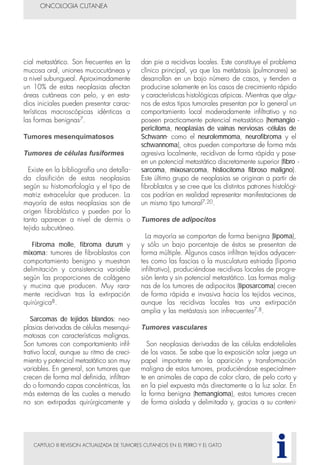 CAPITULO III REVISION ACTUALIZADA DE TUMORES CUTANEOS EN EL PERRO Y EL GATO
cial metastático. Son frecuentes en la
mucosa oral, uniones mucocutáneas y
a nivel subungueal. Aproximadamente
un 10% de estas neoplasias afectan
áreas cutáneas con pelo, y en esta-
dios iniciales pueden presentar carac-
terísticas macroscópicas idénticas a
las formas benignas7.
Tumores mesenquimatosos
Tumores de células fusiformes
Existe en la bibliografía una detalla-
da clasifición de estas neoplasias
según su histomorfología y el tipo de
matriz extracelular que producen. La
mayoría de estas neoplasias son de
origen fibroblástico y pueden por lo
tanto aparecer a nivel de dermis o
tejido subcutáneo.
Fibroma molle, fibroma durum y
mixoma: tumores de fibroblastos con
comportamiento benigno y muestran
delimitación y consistencia variable
según las proporciones de colágeno
y mucina que producen. Muy rara-
mente recidivan tras la extirpación
quirúrgica8.
Sarcomas de tejidos blandos: neo-
plasias derivadas de células mesenqui-
matosas con características malignas.
Son tumores con comportamiento infil-
trativo local, aunque su ritmo de creci-
miento y potencial metastático son muy
variables. En general, son tumores que
crecen de forma mal definida, infiltran-
do o formando capas concéntricas, las
más externas de las cuales a menudo
no son extirpadas quirúrgicamente y
dan pie a recidivas locales. Este constituye el problema
clínico principal, ya que las metástasis (pulmonares) se
desarrollan en un bajo número de casos, y tienden a
producirse solamente en los casos de crecimiento rápido
y características histológicas atípicas. Mientras que algu-
nos de estos tipos tumorales presentan por lo general un
comportamiento local moderadamente infiltrativo y no
poseen practicamente potencial metastático (hemangio -
pericitoma, neoplasias de vainas nerviosas -células de
Schwann- como el neurolemmoma, neurofibroma y el
schwannoma), otros pueden comportarse de forma más
agresiva localmente, recidivan de forma rápida y pose-
en un potencial metastático discretamente superior (fibro -
sarcoma, mixosarcoma, histiocitoma fibroso maligno).
Este último grupo de neoplasias se originan a partir de
fibroblastos y se cree que los distintos patrones histológi-
cos podrían en realidad representar manifestaciones de
un mismo tipo tumoral7,20.
Tumores de adipocitos
La mayoría se comportan de forma benigna (lipoma),
y sólo un bajo porcentaje de éstos se presentan de
forma múltiple. Algunos casos infiltran tejidos adyacen-
tes como las fascias o la musculatura estriada (lipoma
infiltrativo), produciéndose recidivas locales de progre-
sión lenta y sin potencial metastático. Las formas malig-
nas de los tumores de adipocitos (liposarcoma) crecen
de forma rápida e invasiva hacia los tejidos vecinos,
aunque las recidivas locales tras una extirpación
amplia y las metástasis son infrecuentes7,8.
Tumores vasculares
Son neoplasias derivadas de las células endoteliales
de los vasos. Se sabe que la exposición solar juega un
papel importante en la aparición y transformación
maligna de estos tumores, produciéndose especialmen-
te en animales de capa de color claro, de pelo corto y
en la piel expuesta más directamente a la luz solar. En
la forma benigna (hemangioma), estos tumores crecen
de forma aislada y delimitada y, gracias a su conteni-
ONCOLOGIA CUTANEA
i
 
