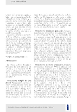 CAPITULO III REVISION ACTUALIZADA DE TUMORES CUTANEOS EN EL PERRO Y EL GATO
tumbran a crecer de forma peduncu-
lada y los adenocarcinomas tienden
a hacerlo de forma infiltrativa y se
presentan como crecimientos difusos
y ulcerados, se recomienda en todos
los casos una extirpación quirúrgica
amplia, ya que algunos tumores
malignos pueden tener un componen-
te exofítico e infiltrar a su vez en su
porción más profunda.
Los adenocarcinomas se comportan
de forma infiltrativa, pueden afectar
estructuras vecinas como la glándula
salival parotídea y producir deforma-
ción facial. Las metástasis al ganglio
regional (parotídeo o submandibular)
se producen en estadios iniciales del
proceso y se encuentran a menudo
presentes en el momento de presenta-
ción a la clínica6,22.
Tumores mesenquimatosos
Fibrosarcoma
Se trata de un tumor derivado de
fibroblastos del tejido dérmico o sub-
cutáneo y es la neoplasia más fre-
cuente en esta especie. En la actuali-
dad se separa en tres entidades clíni-
cas con características clínicas dife-
renciadas5, 6.
Fibrosarcomas múltiples de gatos
jóvenes. Aparece con mayor frecuen-
cia en animales de edad inferior a 5
años, infectados a la vez con el virus
de la Leucemia Felina (FeLV) y el virus
del Sarcoma Felino, que se ve favo-
recido del primero para su replica-
ción en fibroblastos. La presentación
clínica consiste en un crecimiento mul-
tifocal de masas de elevada consistencia, evolución
rápida, mal delimitadas y con adherencias en tejidos
vecinos. No se describe una terapia efectiva y aunque
en estadios iniciales pueden extirparse quirúrgicamen-
te, son frecuentes las recidivas y la aparición de nue-
vas masas. El pronóstico es grave6. En nuestra expe-
riencia, esta presentación es rara en España.
Fibrosarcomas aislados de gatos viejos. Tienden a
presentarse de forma aislada en cualquier área cutá-
nea en animales de 8 a 10 años, no infectados por
virus, y son de consistencia elevada, de contorno irre-
gular, crecimiento lento y mal delimitado. Las metásta-
sis se consideran infrecuentes (14%) y afectan predo-
minantemente los pulmones. Se aconseja una extirpa-
ción quirúrgica el máximo de amplia que permitan los
tejidos vecinos, ya que son tumores con una elevada
tendencia a las recidivas. La quimioterapia puede faci-
litar su extirpación quirúrgica ya que reduce el volumen
de la masa. El pronóstico empeora proporcionalmente
a la presencia de criterios histológicos de malignidad
(mitosis, pleomorfismo celular y anaplasia) y mejora en
aquellos tumores localizados en áreas en las que
puede efectuarse una cirugía agresiva6.
Fibrosarcomas asociados a vacunación. Desde los
primeros casos descritos en 1992, se sabe que existe
una asociación estadística entre la administración de
vacunas y la aparición de sarcomas en la especie feli-
na. A pesar de que se han descrito casos asociados a
la administración de vacunas de la rinotraqueítis, cali-
civirus y panleucopenia, solamente se ha conseguido
establecer una relación estadística entre la aparición
de sarcomas y la administración de vacunas del virus
de la Leucemia Felina (FeLV) y de la Rabia.
Investigaciones realizadas en EE. UU. indican que la
incidencia de estas neoplasias es baja, describiéndo-
se en distintos estudios 10 a 20 casos por cada
100.000 animales vacunados de FeLV o rabia.
También se conoce que el riesgo de desarrollar fibro-
sarcoma aumenta con el numero de vacunaciones que
ha recibido el animal en la zona afectada. Aunque se
ONCOLOGIA CUTANEA
i
 