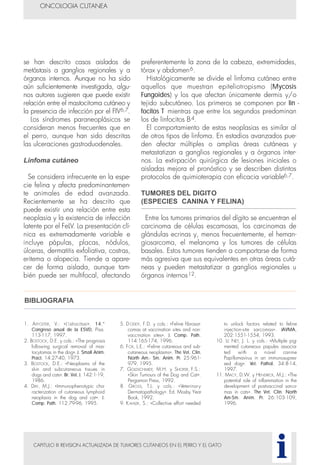 CAPITULO III REVISION ACTUALIZADA DE TUMORES CUTANEOS EN EL PERRO Y EL GATO
se han descrito casos aislados de
metástasis a ganglios regionales y a
órganos internos. Aunque no ha sido
aún suficientemente investigada, algu-
nos autores sugieren que puede existir
relación entre el mastocitoma cutáneo y
la presencia de infección por el FIV6,7.
Los síndromes paraneoplásicos se
consideran menos frecuentes que en
el perro, aunque han sido descritas
las ulceraciones gastroduodenales.
Linfoma cutáneo
Se considera infrecuente en la espe-
cie felina y afecta predominantemen-
te animales de edad avanzada.
Recientemente se ha descrito que
puede existir una relación entre esta
neoplasia y la existencia de infección
latente por el FeLV. La presentación clí-
nica es extremadamente variable e
incluye pápulas, placas, nódulos,
úlceras, dermatitis exfoliativa, costras,
eritema o alopecia. Tiende a apare-
cer de forma aislada, aunque tam-
bién puede ser multifocal, afectando
preferentemente la zona de la cabeza, extremidades,
tórax y abdomen6.
Histológicamente se divide el linfoma cutáneo entre
aquellos que muestran epiteliotropismo (Mycosis
Fungoides) y los que afectan únicamente dermis y/o
tejido subcutáneo. Los primeros se componen por lin -
focitos T mientras que entre los segundos predominan
los de linfocitos B4.
El comportamiento de estas neoplasias es similar al
de otros tipos de linfoma. En estadios avanzados pue-
den afectar múltiples o amplias áreas cutáneas y
metastatizan a ganglios regionales y a órganos inter-
nos. La extirpación quirúrgica de lesiones iniciales o
aisladas mejora el pronóstico y se describen distintos
protocolos de quimioterapia con eficacia variable6,7.
TUMORES DEL DIGITO
(ESPECIES CANINA Y FELINA)
Entre los tumores primarios del dígito se encuentran el
carcinoma de células escamosas, los carcinomas de
glándulas ecrinas y, menos frecuentemente, el heman-
giosarcoma, el melanoma y los tumores de células
basales. Estos tumores tienden a comportarse de forma
más agresiva que sus equivalentes en otras áreas cutá-
neas y pueden metastatizar a ganglios regionales u
órganos internos12.
ONCOLOGIA CUTANEA
i
1. AFFOLTER, V.: «L'istiocitosi». 14.°
Congreso anual de la ESVD, Pisa.
113-117, 1997.
2. BOSTOCK, D.E. y cols.: «The prognosis
following surgical removal of mas-
tocytomas in the dog». J. Small Anim.
Pract. 14:27-40, 1973.
3. BOSTOCK, D.E.: «Neoplasms of the
skin and subcutaneous tissues in
dogs and cats». Br. Vet. J. 142:1-19,
1986.
4. DAY, M.J.: «Immunophenotypic cha-
racterization of cutaneous lymphoid
neoplasia in the dog and cat». J.
Comp. Path. 112:79-96, 1995.
5. D ODDY, F.D. y cols.: «Feline fibrosar-
comas at vaccination sites and non-
vaccination sites». J. Comp. Path.
114:165-174, 1996.
6. FOX, L.E.: «Feline cutaneous and sub-
cutaneous neoplasms». The Vet. Clin.
North Am.- Sm. Anim. Pr. 25:961-
979, 1995.
7. GOLDSCHMIDT, M.H. y SHOFER, F.S.:
«Skin Tumours of the Dog and Cat».
Pergamon Press, 1992.
8. GROSS, T.L. y cols.: «Veterinary
Dermatopathology». Ed. Mosby Year
Book, 1992.
9. KAHLER, S.: «Collective effort needed
to unlock factors related to feline
injection-site sarcomas». JAVMA,
202:1551-1554, 1993.
10. LE NET, J. L. y cols.: «Multiple pig-
mented cutaneous papules associa-
ted with a novel canine
Papillomavirus in an immunosupres-
sed dog». Vet. Pathol. 34:8-14,
1997.
11. MACY, D.W. y HENDRICK, M.J.: «The
potential role of inflammation in the
development of postvaccinal sarco-
mas in cats». The Vet. Clin. North
Am-Sm. Anim. Pr. 26:103-109,
1996.
BIBLIOGRAFIA
 