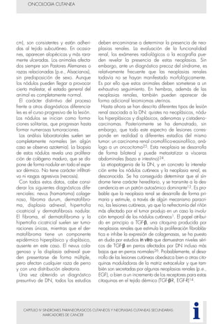 CAPITULO IV SINDROMES PARANEOPLASICOS CUTANEOS Y NEOPLASIAS CUTANEAS SECUNDARIAS:
MARCADORES DE CANCER
cm), son consistentes y están adheri-
das al tejido subcutáneo. En ocasio-
nes, aparecen alopécicas y más rara-
mente ulceradas. Los animales afecta-
dos siempre son Pastores Alemanes o
razas relacionadas (p.e., Alsacianos),
sin predisposición de sexo. Aunque
los nódulos pueden llegar a provocar
cierto malestar, el estado general del
animal es completamente normal.
El carácter distintivo del proceso
frente a otros diagnósticos diferencia-
les es el curso progresivo de la lesión.
Los nódulos se inician como forma-
ciones solitarias, que progresan hasta
formar numerosas tumoraciones.
Los análisis laboratoriales suelen ser
completamente normales (en algún
caso se observa azotemia). La biopsia
de estos nódulos revela una prolifera-
ción de colágeno maduro, que se dis-
pone de forma nodular en todo el espe-
sor dérmico. No tiene carácter infiltrati-
vo ni rasgos agresivos (necrosis).
Con todos estos datos, cabe consi-
derar los siguientes diagnósticos dife-
renciales: nevus (hamartoma) colage-
noso, fibroma durum, dermatofibro-
ma, displasia adnexal, hipertrofia
cicatricial y dermatofibrosis nodular.
El fibroma, el dermatofibroma y la
hipertrofia cicatricial suelen ser tumo-
raciones únicas, mientras que el der-
matofibroma tiene un componente
epidérmico hiperplásico y displásico,
ausente en este caso. El nevus cola-
genoso y la displasia adnexal pue-
den presentarse de forma múltiple,
pero afectan cualquier raza de perro
y con una distribución aleatoria.
Una vez obtenido un diagnóstico
presuntivo de DN, todos los estudios
deben encaminarse a determinar la presencia de neo-
plasias renales. La evaluación de la funcionalidad
renal, los exámenes radiológicos o la ecografía pue-
den revelar la presencia de estas neoplasias. Sin
embargo, ante un diagnóstico precoz del síndrome, es
relativamente frecuente que las neoplasias renales
todavía no se hayan manifestado morfológicamente.
Es por ello que estos animales deben someterse a un
exhaustivo seguimiento. En hembras, además de las
neoplasias renales, también pueden aparecer de
forma adicional leiomiomas uterinos.
Hasta ahora se han descrito diferentes tipos de lesión
renal asociada a la DN: quistes no neoplásicos, nódu-
los hiperplásicos y displásicos, adenomas y cistadeno-
carcinomas. Posteriormente se ha demostrado, sin
embargo, que todo este espectro de lesiones corres-
ponde en realidad a diferentes estadíos del mismo
tumor: un carcinoma renal cromofílico-eosinofílico, aná-
logo a un oncocitoma25. Esta neoplasia se desarrolla
de forma bilateral y puede metastatizar a vísceras
abdominales (bazo e intestino)24.
La etiopatogenia de la DN, y en concreto la interrela-
ción entre los nódulos cutáneos y la neoplasia renal, es
desconocida. Se ha conseguido determinar que el sín-
drome tiene carácter hereditario, y se transmite a la des-
cendencia en un patrón autosómico dominante12. Es pro-
bable que la neoplasia renal se desarrolle de forma pri-
maria y estimule, a través de algún mecanismo paracri-
no, las lesiones cutáneas, ya que la nefrectomía del riñón
más afectado por el tumor produjo en un caso la involu-
ción temporal de los nódulos cutáneos1. El papel atribui-
do en principio a TGF-β, una citoquina producida por
neoplasias renales que estimula la proliferación fibroblás-
tica e inhibe la expresión de colagenasas, se ha puesto
en duda por estudios in vitro que demuestran niveles séri-
cos de TGF-β en perros afectados por DN incluso más
bajos que en perros normales26. Probablemente, el desa-
rrollo de las lesiones cutáneas obedezca bien a otras cito-
quinas moduladoras de la matriz extracelular y que tam-
bién son secretadas por algunas neoplasias renales (p.e.,
EGF), o bien a un incremento de los receptores para estas
citoquinas en el tejido dérmico (TGF-β-R, EGF-R)14.
ONCOLOGIA CUTANEA
i
 