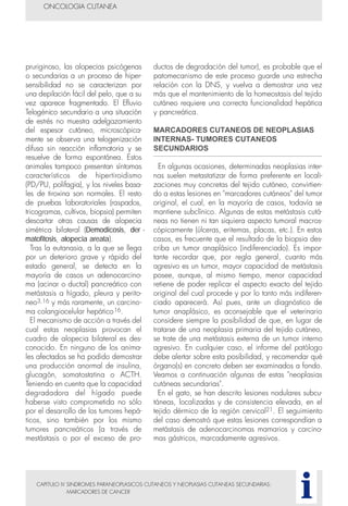 CAPITULO IV SINDROMES PARANEOPLASICOS CUTANEOS Y NEOPLASIAS CUTANEAS SECUNDARIAS:
MARCADORES DE CANCER
pruriginoso, las alopecias psicógenas
o secundarias a un proceso de hiper-
sensibilidad no se caracterizan por
una depilación fácil del pelo, que a su
vez aparece fragmentado. El Efluvio
Telogénico secundario a una situación
de estrés no muestra adelgazamiento
del espesor cutáneo, microscópica-
mente se observa una telogenización
difusa sin reacción inflamatoria y se
resuelve de forma espontánea. Estos
animales tampoco presentan síntomas
característicos de hipertiroidismo
(PD/PU, polifagia), y los niveles basa-
les de tiroxina son normales. El resto
de pruebas laboratoriales (raspados,
tricogramas, cultivos, biopsia) permiten
descartar otras causas de alopecia
simétrica bilateral (Demodicosis, der -
matofitosis, alopecia areata).
Tras la eutanasia, a la que se llega
por un deterioro grave y rápido del
estado general, se detecta en la
mayoría de casos un adenocarcino-
ma (acinar o ductal) pancreático con
metástasis a hígado, pleura y perito-
neo3,16 y más raramente, un carcino-
ma colangiocelular hepático16.
El mecanismo de acción a través del
cual estas neoplasias provocan el
cuadro de alopecia bilateral es des-
conocido. En ninguno de los anima-
les afectados se ha podido demostrar
una producción anormal de insulina,
glucagón, somatostatina o ACTH.
Teniendo en cuenta que la capacidad
degradadora del hígado puede
haberse visto comprometida no sólo
por el desarrollo de los tumores hepá-
ticos, sino también por los mismo
tumores pancreáticos (a través de
mestástasis o por el exceso de pro-
ductos de degradación del tumor), es probable que el
patomecanismo de este proceso guarde una estrecha
relación con la DNS, y vuelva a demostrar una vez
más que el mantenimiento de la homeostasis del tejido
cutáneo requiere una correcta funcionalidad hepática
y pancreática.
MARCADORES CUTANEOS DE NEOPLASIAS
INTERNAS- TUMORES CUTANEOS
SECUNDARIOS
En algunas ocasiones, determinadas neoplasias inter-
nas suelen metastatizar de forma preferente en locali-
zaciones muy concretas del tejido cutáneo, convirtien-
do a estas lesiones en "marcadores cutáneos" del tumor
original, el cual, en la mayoría de casos, todavía se
mantiene subclínico. Algunas de estas metástasis cutá-
neas no tienen ni tan siquiera aspecto tumoral macros-
cópicamente (úlceras, eritemas, placas, etc.). En estos
casos, es frecuente que el resultado de la biopsia des-
criba un tumor anaplásico (indiferenciado). Es impor-
tante recordar que, por regla general, cuanto más
agresivo es un tumor, mayor capacidad de metástasis
posee, aunque, al mismo tiempo, menor capacidad
retiene de poder replicar el aspecto exacto del tejido
original del cual procede y por lo tanto más indiferen-
ciado aparecerá. Así pues, ante un diagnóstico de
tumor anaplásico, es aconsejable que el veterinario
considere siempre la posibilidad de que, en lugar de
tratarse de una neoplasia primaria del tejido cutáneo,
se trate de una metástasis externa de un tumor interno
agresivo. En cualquier caso, el informe del patólogo
debe alertar sobre esta posibilidad, y recomendar qué
órgano(s) en concreto deben ser examinados a fondo.
Veamos a continuación algunas de estas "neoplasias
cutáneas secundarias".
En el gato, se han descrito lesiones nodulares subcu-
táneas, localizadas y de consistencia elevada, en el
tejido dérmico de la región cervical21. El seguimiento
del caso demostró que estas lesiones correspondían a
metástasis de adenocarcinomas mamarios y carcino-
mas gástricos, marcadamente agresivos.
ONCOLOGIA CUTANEA
i
 