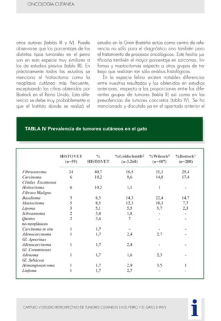 CAPITULO V ESTUDIO RETROSPECTIVO DE TUMORES CUTANEOS EN EL PERRO Y EL GATO (1997)
otros autores (tablas III y IV). Puede
observarse que los porcentajes de los
distintos tipos tumorales en el perro
son en esta especie muy similares a
los de estudios previos (tabla III). En
prácticamente todos los estudios se
menciona el histiocitoma como la
neoplasia cutánea más frecuente,
exceptuando las cifras obtenidas por
Bostock en el Reino Unido. Esta dife-
rencia se debe muy probablemente a
que el Instituto donde se realizó el
estudio en la Gran Bretaña actúa como centro de refe-
rencia no sólo para el diagnóstico sino también para
el tratamiento de procesos oncológicos. Este hecho jus-
tificaría también el mayor porcentaje en sarcomas, lin-
fomas y mastocitomas respecto a otros grupos de tra-
bajo que realizan tan sólo análisis histológicos.
En la especie felina existen notables diferencias
entre nuestros resultados y los obtenidos en estudios
anteriores, respecto a las proporciones entre los dife-
rentes grupos de tumores (tabla II) así como en las
prevalencias de tumores concretos (tabla IV). Se ha
mencionado y discutido ya en el apartado anterior el
ONCOLOGIA CUTANEA
i
TABLA IV Prevalencia de tumores cutáneos en el gato
HISTOVET % %Goldschmidt2 %Wilcock5 %Bostock1
(n=59) HISTOVET (n-3.260) (n=487) (n=288)
Fibrosarcoma 24 40,7 16,5 11,3 25,4
Carcinoma 6 10,2 9,6 14,8 17,4
Células Escamosas
Histiocitoma 6 10,2 1,1 1 -
Fibroso Maligno
Basalioma 5 8,5 14,3 22,4 14,7
Mastocitoma 5 8,5 12,3 10,3 7,7
Lipoma 3 5,1 5,5 5,7 2,3
Schwannoma 2 3,4 1,8 - -
Quistes 2 3,4 7 - -
no-neoplásicos
Carcinoma in situ 1 1,7 - - -
Adenocarcinoma 1 1,7 2,4 2,7 -
Gl. Apocrinas
Adenocarcinoma 1 1,7 2,4 - -
Gl. Ceruminosas
Adenoma 1 1,7 1,6 2,3 -
Gl. Sebáceas
Hemangiosarcoma 1 1,7 2,9 3,5 1
Linfoma 1 1,7 2,7 - -
 