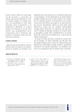 CAPITULO V ESTUDIO RETROSPECTIVO DE TUMORES CUTANEOS EN EL PERRO Y EL GATO (1997)
ONCOLOGIA CUTANEA
i
mayor número relativo en esta espe-
cie de sarcomas y carcinomas de
células escamosas obtenido en nues-
tro estudio respecto a trabajos pre-
vios. Los porcentajes en otros tipos
tumorales como el basalioma o el
mastocitoma obtenidos en nuestro
estudio son inferiores a los de otros
centros muy probablemente como
consecuencia de la distorsión que
produce el elevado número de pro-
cesos sarcomatosos.
CONCLUSION
Mientras que las prevalencias de los
distintos tipos tumorales en la especie
canina en España son similares a los
obtenidos por otros autores en el continente americano
y Gran Bretaña, se han detectado en la especie felina
notables diferencias entre nuestros datos y los obteni-
dos en aquellos estudios. El incremento en la inciden-
cia de sarcomas felinos asociados a la administración
de vacunas subcutáneas justifica en gran parte estas
diferencias, puesto que los estudios mencionados
recogen datos anteriores a la aparición de este fenó-
meno. También la elevada insolación en nuestro ámbi-
to geográfico puede influir notablemente en la preva-
lencia de ciertos tipos tumorales (p.ej., Carcinoma de
células escamosas).
Aunque el número de casos incluidos en nuestro estu-
dio es limitado, los datos obtenidos son de gran inte-
rés epidemiológico para conocer la influencia de posi-
bles factores ambientales y poder estudiar, mediante la
realización de estudios periódicos, los posibles cam-
bios en la prevalencia de los distintos tipos tumorales.
1. BOSTOCK, D.E.: «Neoplasms of the skin
and subcutaneous tissues in dogs and
cats». Br. Vet. J. 142:1-19, 1986.
2. GOLDSCHMIDT, M.H. y SHOFER, F.S.:
«Skin Tumours of the Dog and Cat».
Pergamon Press, 1992.
3. PRIESTER, W.A.: «Skin tumours in
domestic animals: Data from 12
United Stated and Canadian colle-
ges for veterinary medicine». J. Natl.
Cancer Inst. 50:457-466, 1973.
4. WITHROW, S.J. y MACEWEN, E.G.:
«Small Animal Oncology». 2.a De.
W.B. Saunders Company, 1996.
5. YAGER, J.A. y WILCOCK, B.P.: «Color
Atlas and Text of Surgical Pathology
of the Dog and Cat». Ed. Mosby-
Year Book Europe Ltd., 1994.
BIBLIOGRAFIA
 