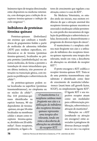 Evi Ria Oncologia em pequenos animais | PDF